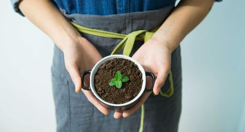 a person holding a pot with dirt in it